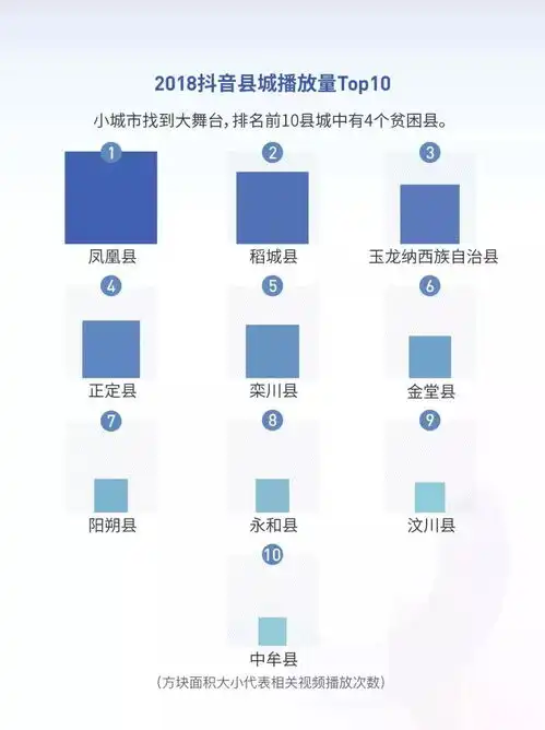  抖音2018年度数据报告完整版