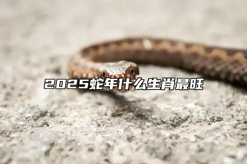  2025蛇年什么生肖最旺