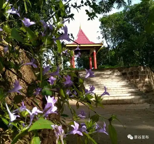  县妇联向全县妇女发出创建美丽庭院倡议