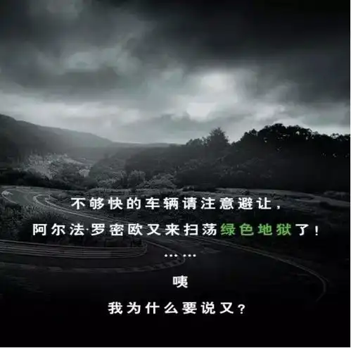  阿尔法罗密欧stelvio豪华suv四叶草版