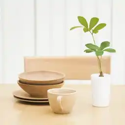  请问oppor11有防水功能吗