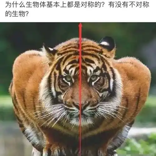  搞笑趣图如果穿越到秦朝向秦始皇竖中指会有什么结果