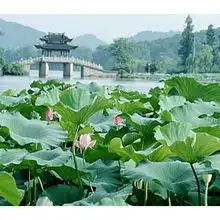  成都到华东旅游最便宜的华东游成都旅行社报价