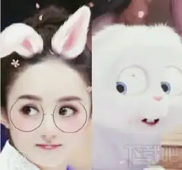  美颜相机赵丽颖动漫大头贴怎么弄美颜相机赵丽颖动漫大头贴玩法介绍