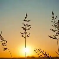  精美句子说说配图有关精美的句子配图微信头像图片大全