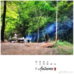  夏末时节,南平这几个地方的人,好让人羡慕