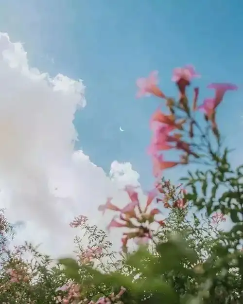  人生有三种好心态不抱怨,不计较,不对比