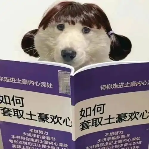  适合女生长期不换的微信头像