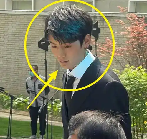  丁真演讲生图被传火了,观众随手一拍,19岁的真人颜值让人不敢信