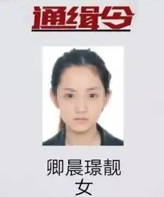  传疯了广西这个高颜值女嫌犯谁认识警方悬赏30万通缉