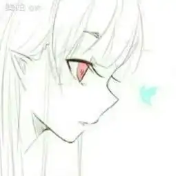  虎的美拍