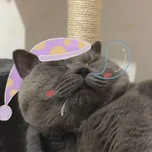  每日头像