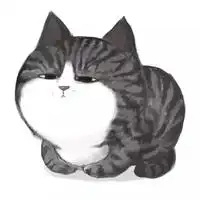  猫者柏原的翻唱主播电台网易云音乐
