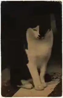  摄影大师山本昌男