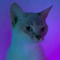小众又高级的emo头像眼