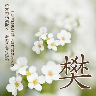  清新姓氏头像,唯美好看花朵为背景的