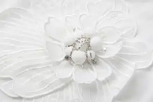  施悦名2019春夏女装新款立体花朵短袖t恤荷叶边条纹半身裙两件套a