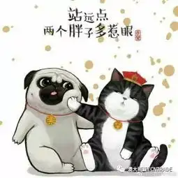  萌宠驾到准备好接驾吧