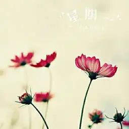 女生头像花朵唯美清新笔