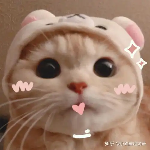  优质女头你想要的风格