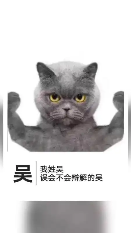  我姓吴的专属文字图片