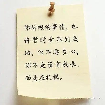  人生大总结疯转