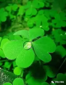  强烈推荐基督徒必读的45句经典语录