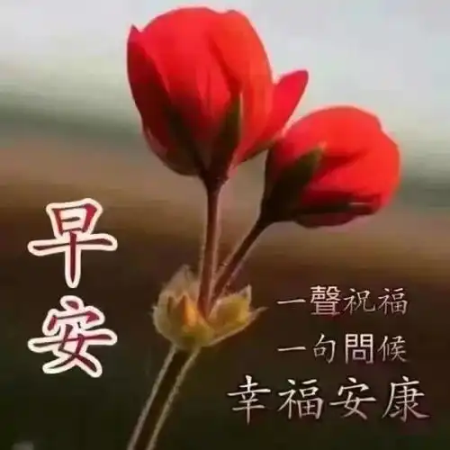  有一种默契叫做心照不宣有一种感觉叫做妙不可言,早安