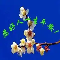 一生平安微信头像图魏