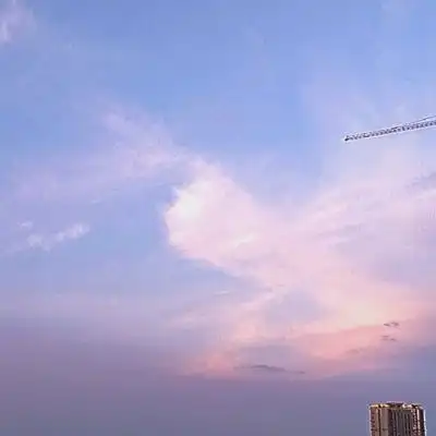  2021最新风景静物头像
