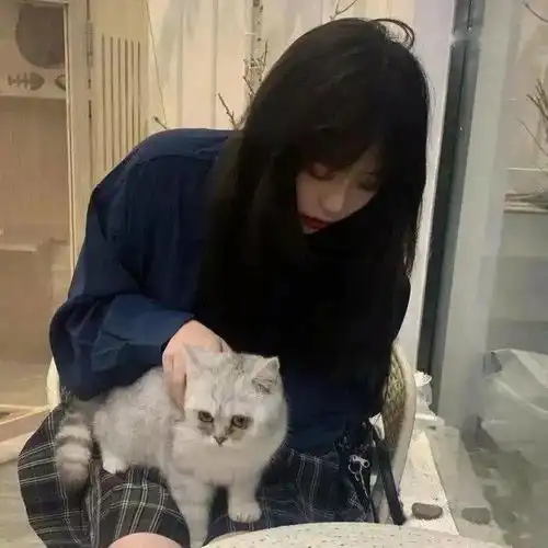 可爱猫咪头像女生霸气高