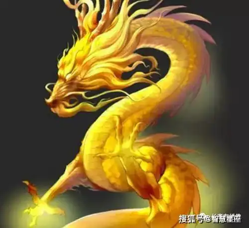  明日运势辰龙5月12号