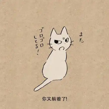  奶凶奶凶的小白猫,我好爱呀你呢