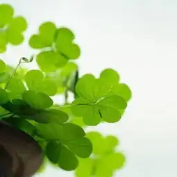  原创专栏华中师范大学学科教学初复试第一经验分享