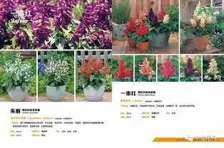  2019中世花卉花海图鉴免费领取