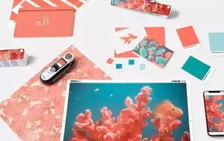  2019年最流行珊瑚橘如此灾难的颜色这样搭竟然很好看