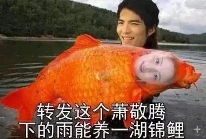 换了就有钱一夜之间,网友都换上最火的金钱豹头像