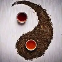  茶韵微信头像品茶茶韵艺术头像图片