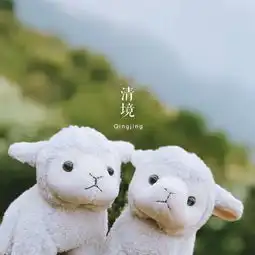  2017秋台湾8日闺蜜自由行台北清境农场台中花莲台北