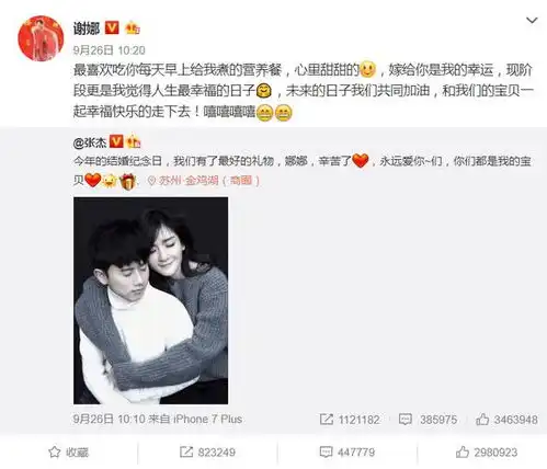  谢娜孕期痴迷手工,但尝美食会老友的生活更让人羡慕