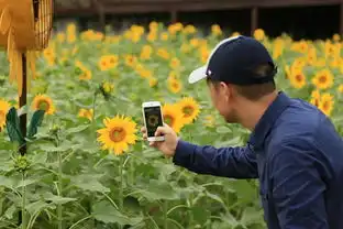  东南花都花博会云洞岩e部落每周上百个各类活动,汇聚数十万厦门上班族