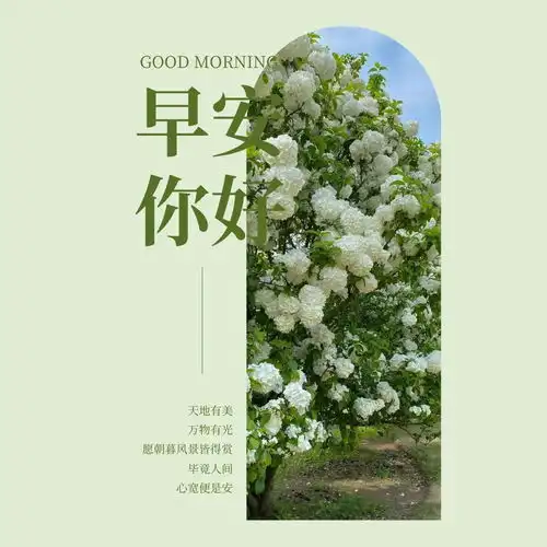  威海风景图片高清大图威海不期而遇的美景