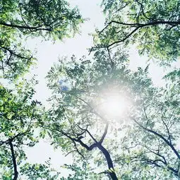  求几个qq头像,不要人图,只要场景照片,就像有某种意境似的,给好评