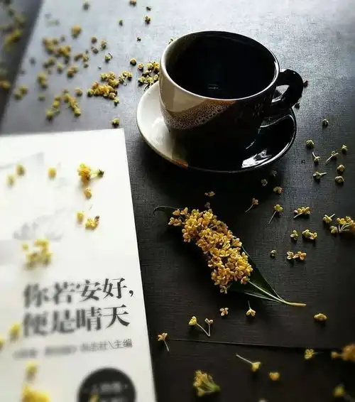  一壶一书一秋光,半梦半醒半禅思