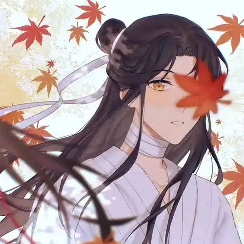 头像图片 动漫天官赐福