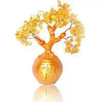  卡通发财树头像微信头像图片大全