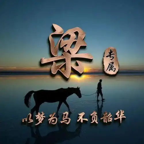  39张姓氏头像以梦为马,不负韶华,暖心励志