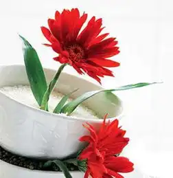  锦致的花草小雏菊点缀厨房