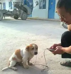  表情丨安慰一个人的最好办法竟然是今日动图哼哼哈嘿