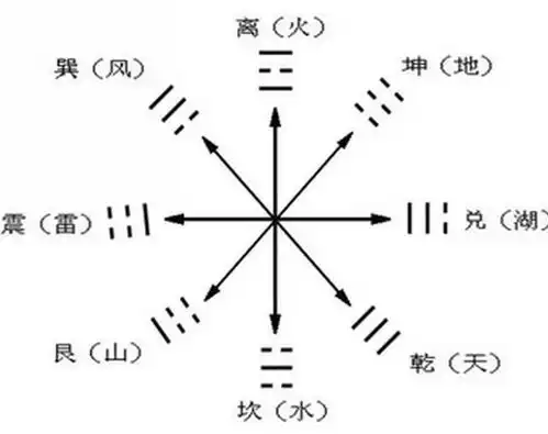  葵水命的介绍